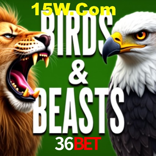 Apostas Esportivas na 36Bet: Um Guia Completo