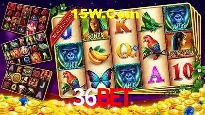 Segurança e performance na plataforma 36Bet